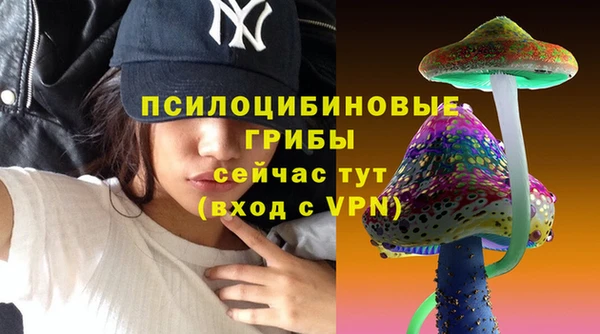 гидропоника Арсеньев